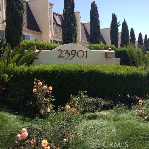 Front Image Thumbnail for CRSR26045868