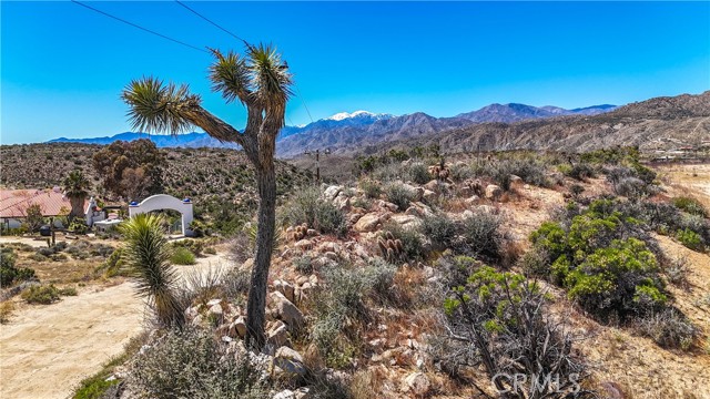 Detail Gallery Image 3 of 38 For 54944 Cheechaco Trl, Yucca Valley,  CA 92284 - – Beds | – Baths
