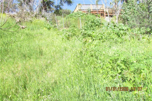 Detail Gallery Image 12 of 51 For 8001 Denivelle Rd., Sunland,  CA 91040 - – Beds | – Baths