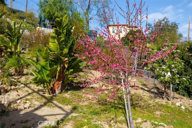 Detail Gallery Image 42 of 75 For 9334 Wayside Dr, Sunland,  CA 91040 - 3 Beds | 2 Baths