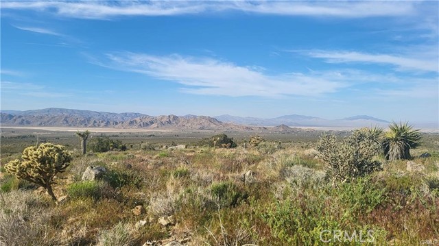 Detail Gallery Image 1 of 8 For 0 Near County Rd 0451-381-39, Lucerne Valley,  CA 92356 - – Beds | – Baths