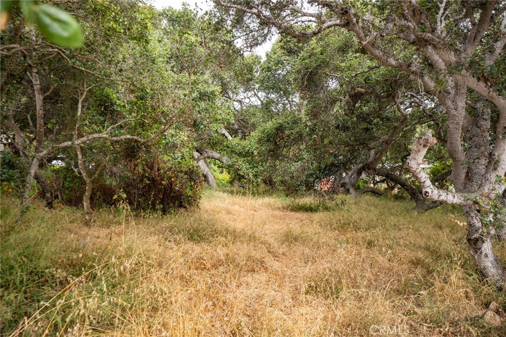 MLS #SC25145989 image #16