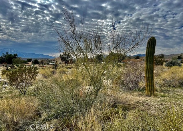 Detail Gallery Image 1 of 13 For 11040 Mescalero Ave, Morongo Valley,  CA 92256 - – Beds | – Baths