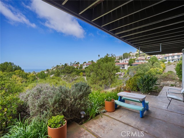 Sometimes, it is about the back yard ... Sometimes, it is about the back yard ...