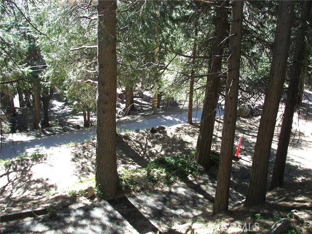 Detail Gallery Image 68 of 69 For 21636 Sawpit Canyon, Cedarpines Park,  CA 92322 - 3 Beds | 2 Baths