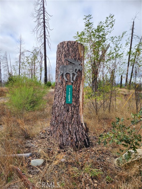 Front Image Thumbnail for CROR25239361