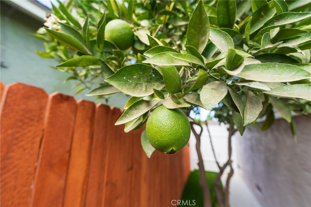 https://media.crmls.org/medias/511645e7-39d3-4198-a1a9-5ba25236c97b.jpg?preset=X-Large