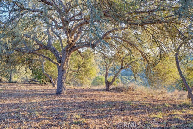 Detail Gallery Image 19 of 49 For 11315 Nacimiento Lake Dr, Bradley,  CA 93426 - 2 Beds | 2 Baths