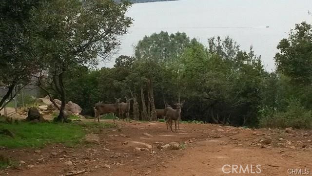 10508 Edgewater Drive, Kelseyville CA: https://media.crmls.org/medias/5121c1fe-38fd-4ec6-925a-01aa8e8fdf7f.jpg