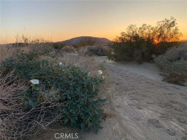 0 Pipeline Road, Joshua Tree, California 92252, ,Land,For Sale,0 Pipeline Road,CRDW23206723