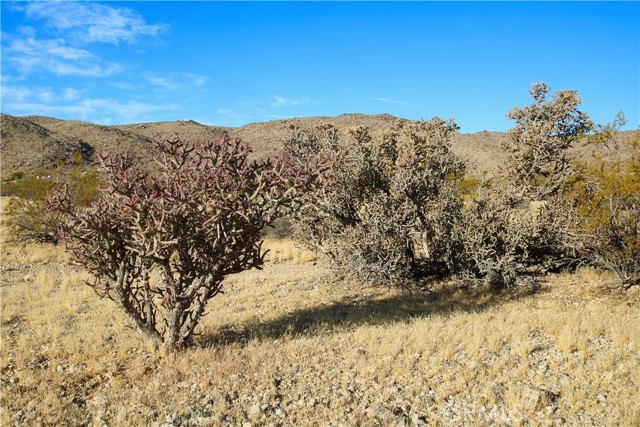 Detail Gallery Image 9 of 21 For 61769 Cowan Ln, Joshua Tree,  CA 92252 - – Beds | – Baths