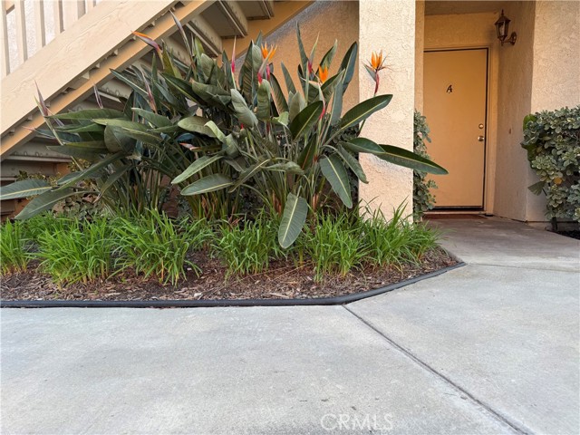 Image 2 of 41 For 26342 Forest Ridge Drive 3a