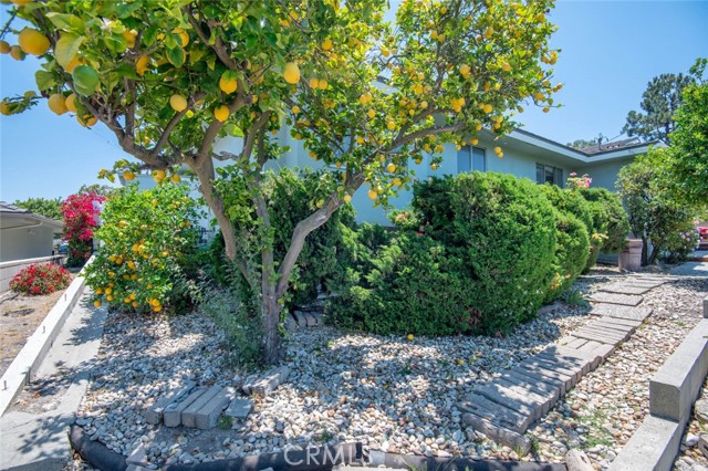 11 Sunnyfield, Rolling Hills Estates, California 90274, 4 Bedrooms Bedrooms, ,2 BathroomsBathrooms,Residential,Sold,Sunnyfield,PV22127570