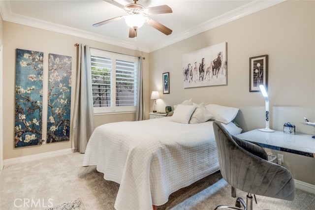 Beautiful guest bedrooms