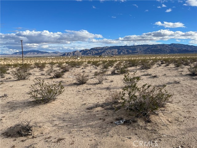 Detail Gallery Image 12 of 21 For 70373 Nandina St, Twentynine Palms,  CA 92277 - – Beds | – Baths