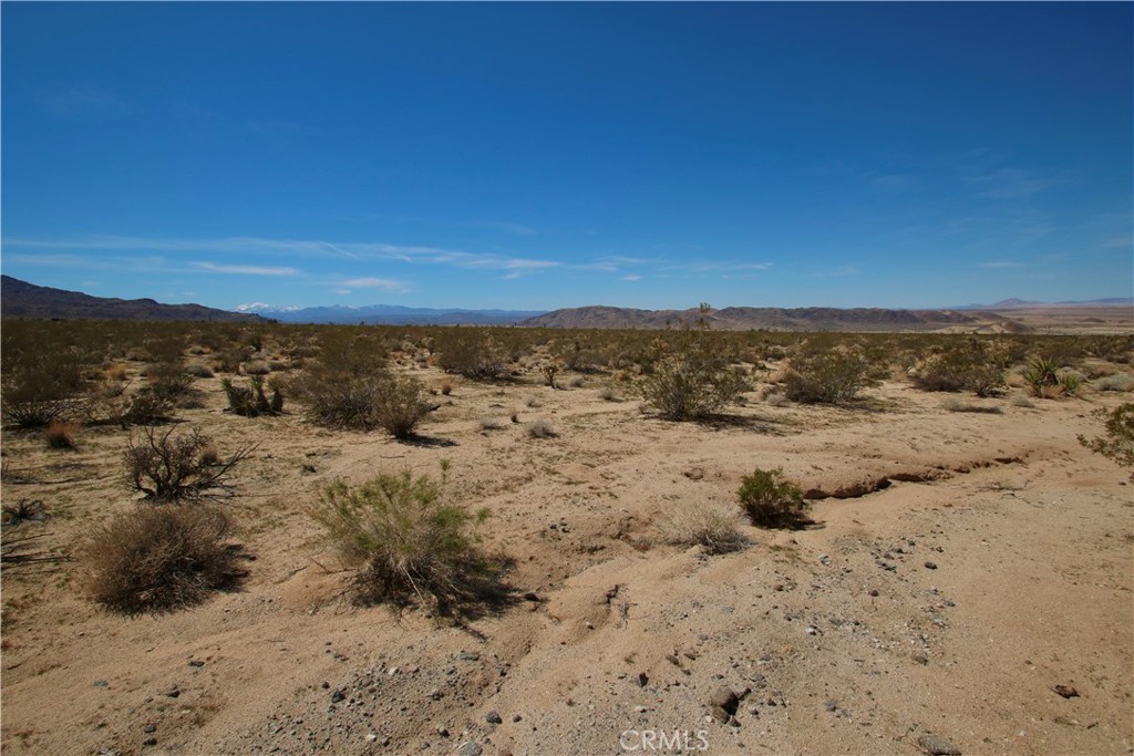 MLS #JT21090590 image #12