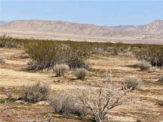 Detail Gallery Image 10 of 12 For 0 Datura Ter, Johnson Valley,  CA 92285 - – Beds | – Baths