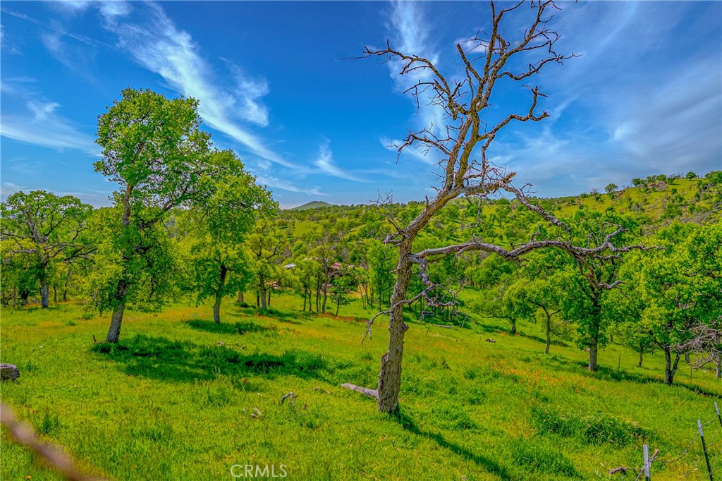 https://media.crmls.org/medias/51436fd0-f74b-4d97-8115-a8c5459332a8.jpg?preset=X-Large