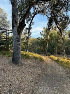 4116 Silver Bar Rd., Mariposa, California 95338, 2 Bedrooms Bedrooms, ,1 BathroomBathrooms,Single Family Residence,For Sale,Silver Bar Rd.,MP24194213