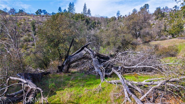 Detail Gallery Image 40 of 43 For 2320 Painted Pony Rd, Somerset,  CA 95684 - – Beds | – Baths