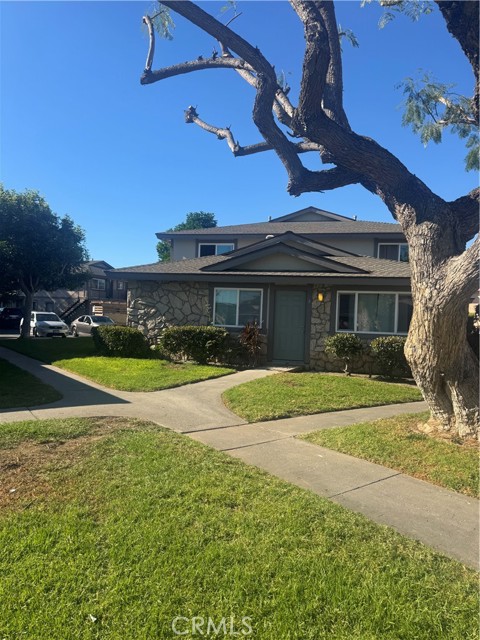 Front Image Thumbnail for CROC25243049