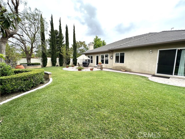 Large Back Yard