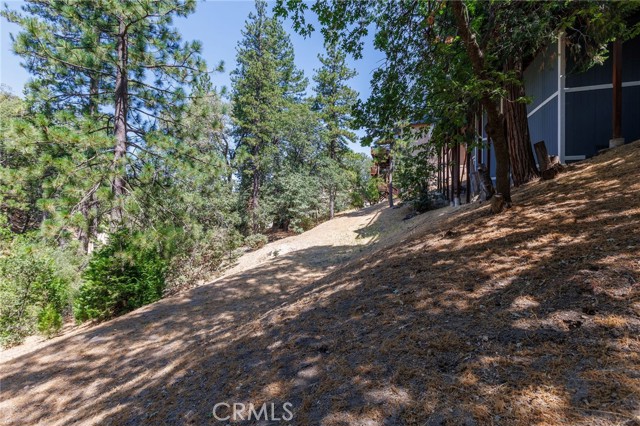 Detail Gallery Image 48 of 61 For 28575 Manitoba Dr, Lake Arrowhead,  CA 92352 - 4 Beds | 2/1 Baths