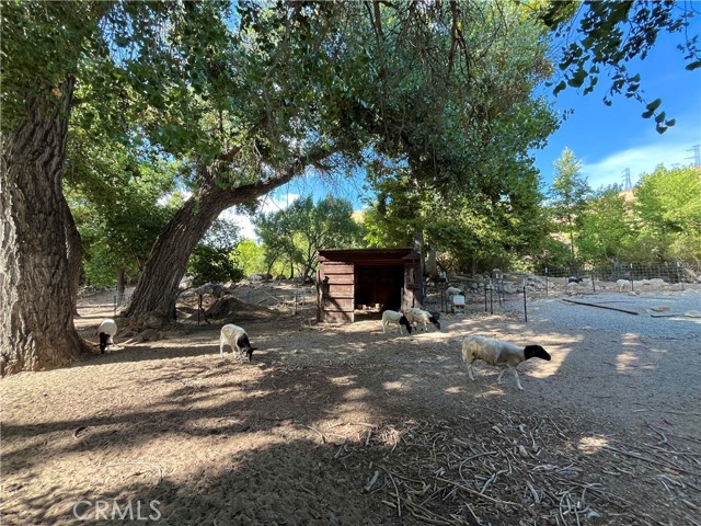 30880 Aliso Canyon Road, Acton, California 93510, 3 Bedrooms Bedrooms, ,2 BathroomsBathrooms,Single Family Residence,For Sale,Aliso Canyon,SR25037817