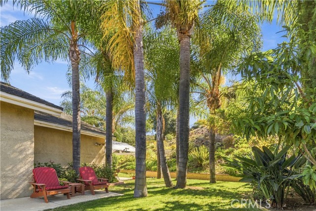 822 Spring Canyon Place photo 53