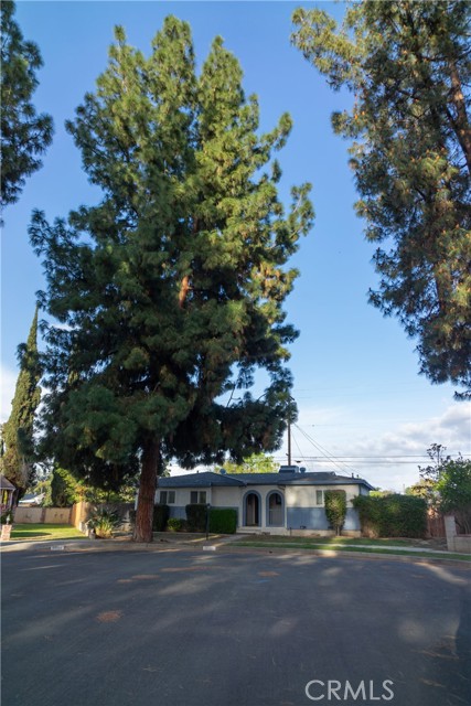 Front Image Thumbnail for CRSR25251968