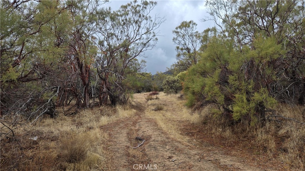 0 Springs Trail