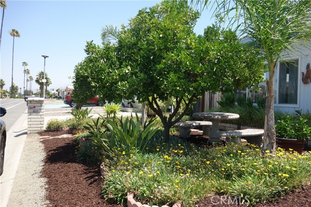 Detail Gallery Image 7 of 55 For 886 S Palm Ave, Hemet,  CA 92543 - 2 Beds | 2 Baths