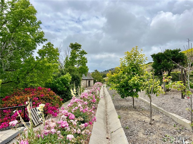 31541 Peppertree Bend, San Juan Capistrano CA: https://media.crmls.org/medias/51768b81-2330-44cb-9921-44cfc954385c.jpg