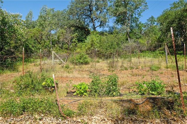 Detail Gallery Image 50 of 61 For 13449 Anderson Rd, Lower Lake,  CA 95457 - 4 Beds | 3 Baths