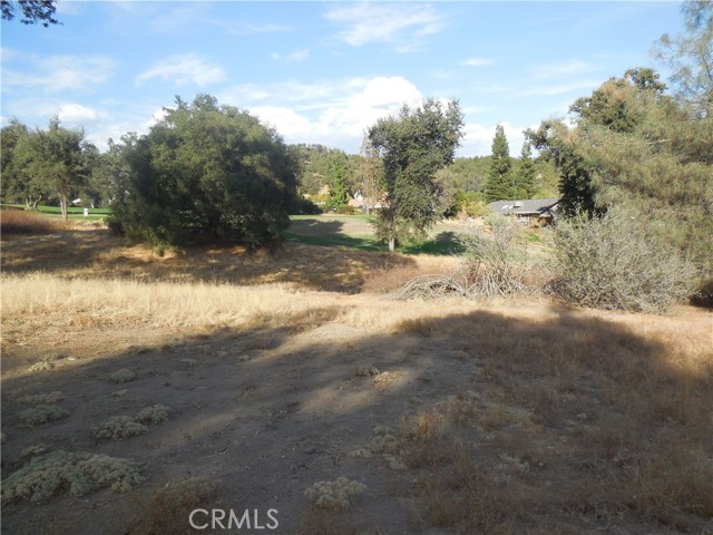 Detail Gallery Image 3 of 10 For 1 Acre Griffin Dr, Oakhurst,  CA 93644 - – Beds | – Baths