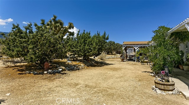 Detail Gallery Image 26 of 31 For 1895 Barkley Ranch Rd, Pinon Hills,  CA 92372 - 3 Beds | 2 Baths