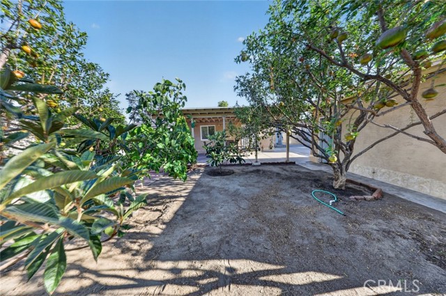 11407 Delano photo 42