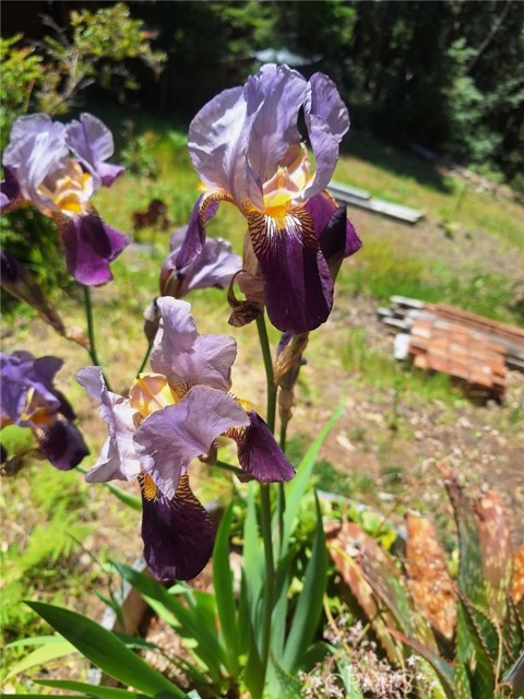 Detail Gallery Image 23 of 58 For 38160 Ocean Ridge Dr, Gualala,  CA 95445 - – Beds | – Baths