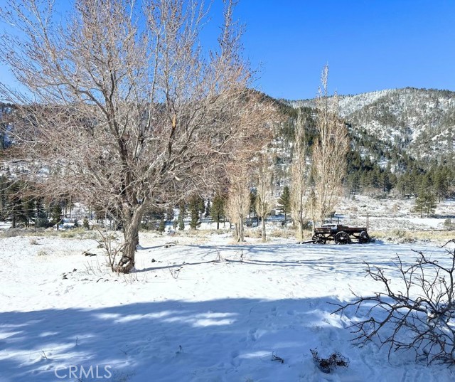 Detail Gallery Image 3 of 35 For 26601 Big Pines, Wrightwood,  CA 92397 - 3 Beds | 2/1 Baths