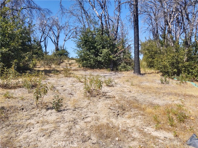 363 Raccoon Road, Berry Creek, California 95916, ,Land,For Sale,363 Raccoon Road,CROR24029245