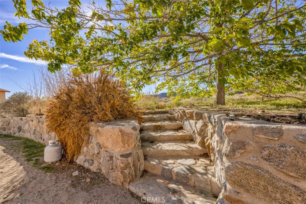 MLS #JT25239613 image #11