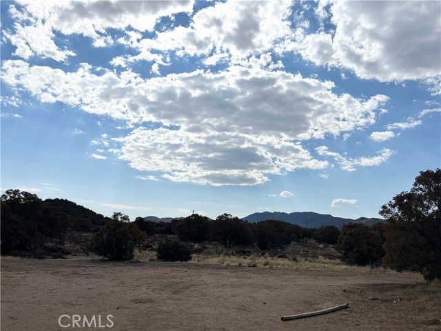 45080 Terwilliger Road, Anza CA: https://media.crmls.org/medias/518febcb-51c6-4656-8577-eb2d68e5059e.jpg