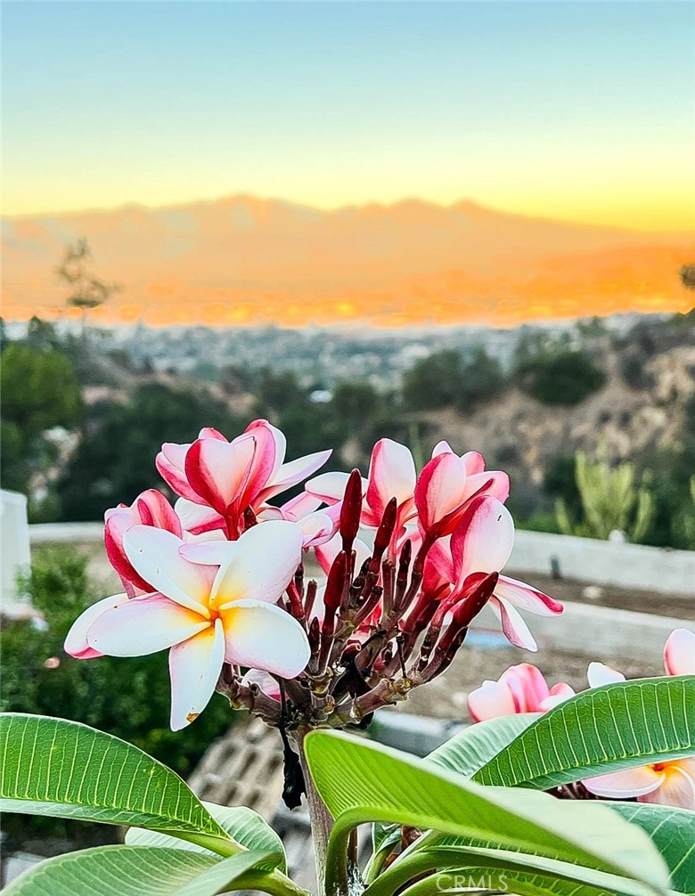 https://media.crmls.org/medias/5190c2c7-4041-4930-8ae0-55fe1314ab51.jpg?preset=X-Large