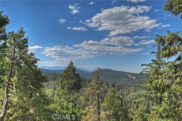 Detail Gallery Image 30 of 43 For 23796 Crest Forest Dr, Crestline,  CA 92325 - 4 Beds | 3 Baths