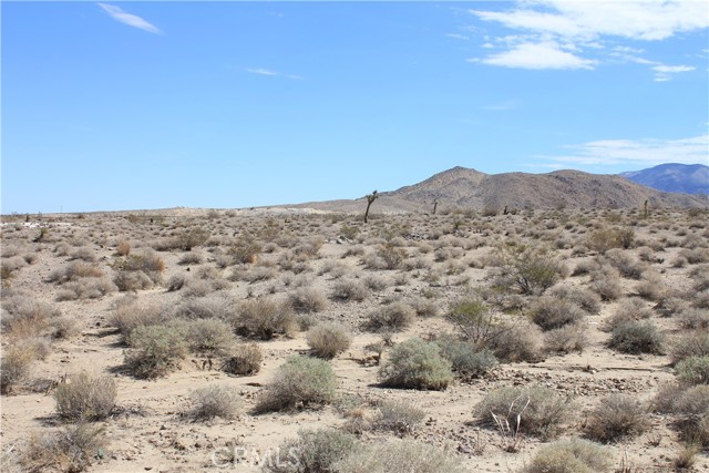 Detail Gallery Image 46 of 71 For 769 Meridian Rd, Lucerne Valley,  CA 92356 - – Beds | – Baths