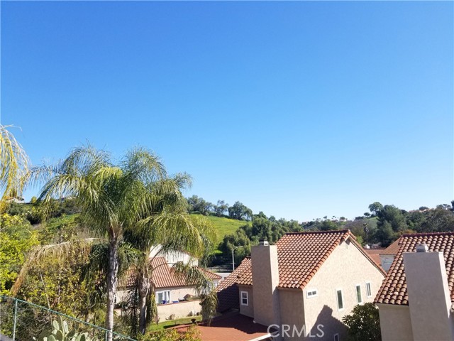 Views Facing South from Backyard