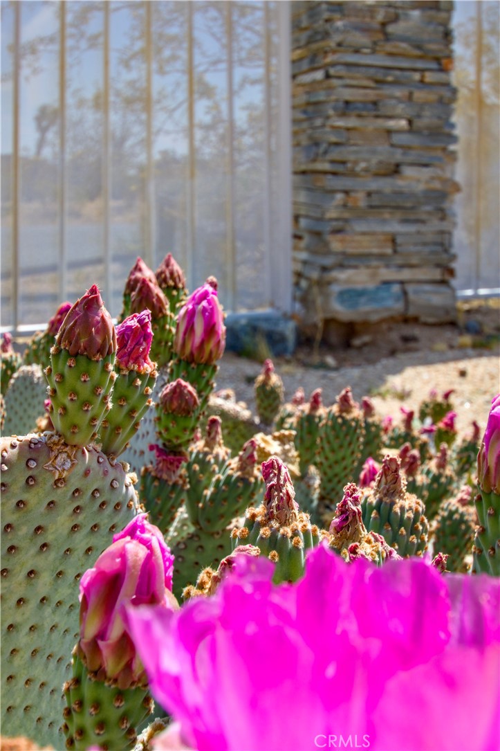 MLS #OC25244035 image #28