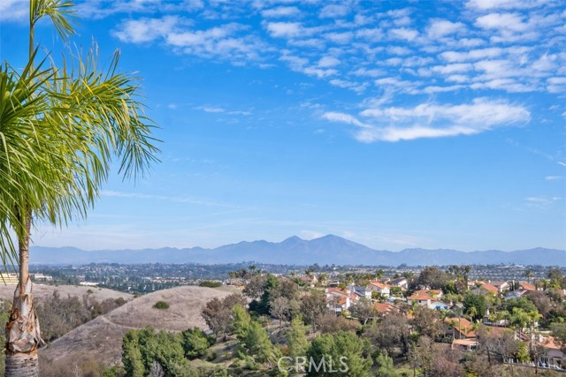 Image 29 of 47 For 28622 Point Loma