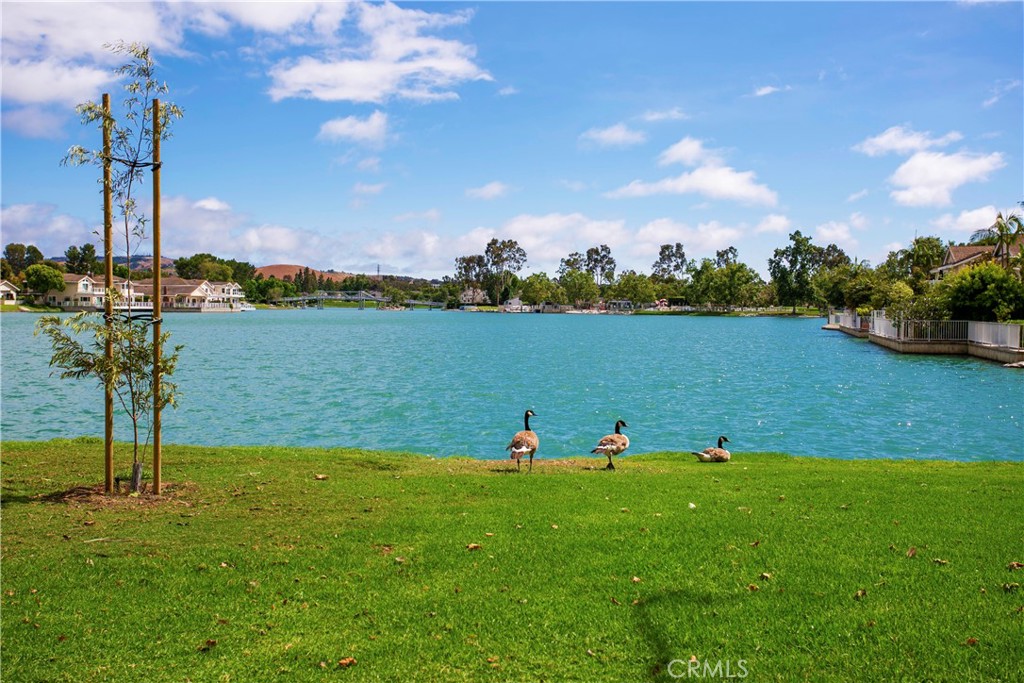 https://media.crmls.org/medias/51a09f67-23b2-4cbc-b816-b6132a4cd7d8.jpg?preset=X-Large