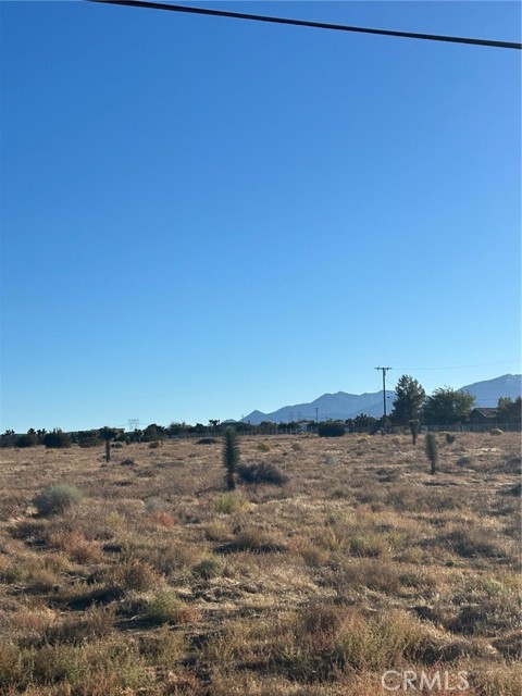 Detail Gallery Image 2 of 2 For 0 Locust, Pinon Hills,  CA 92372 - – Beds | – Baths